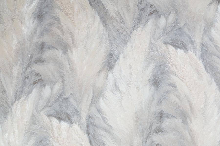 dtl