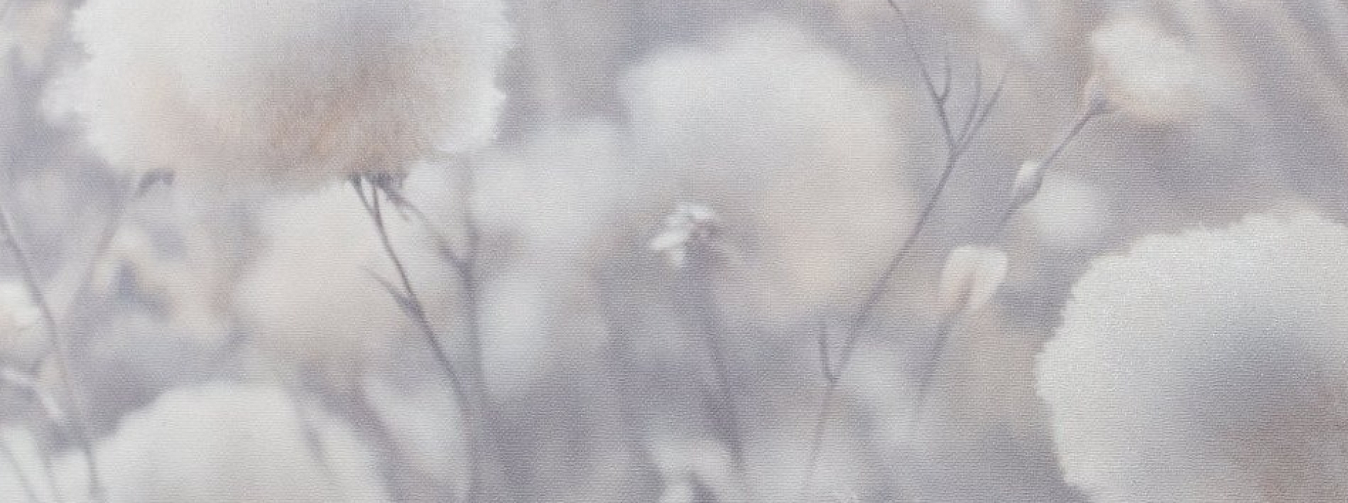 Изображение Палитра Cottonia 72543-41