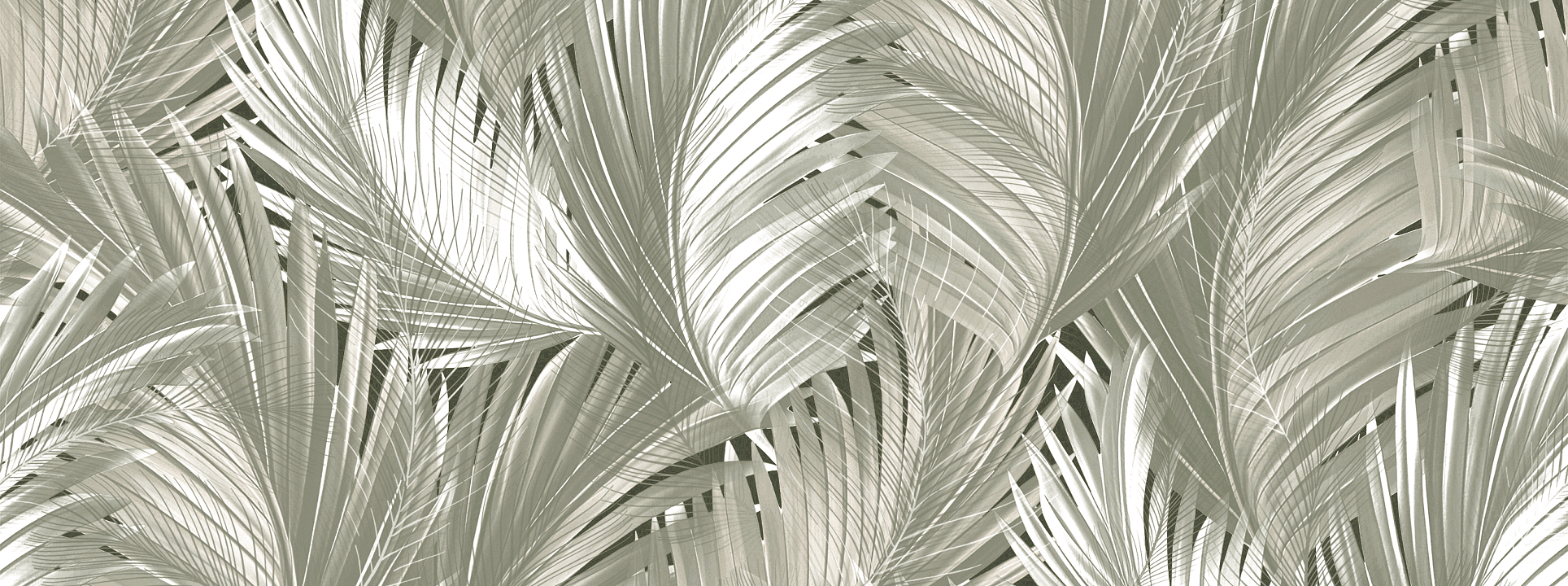 Изображение Solo Estetico 66054 HK