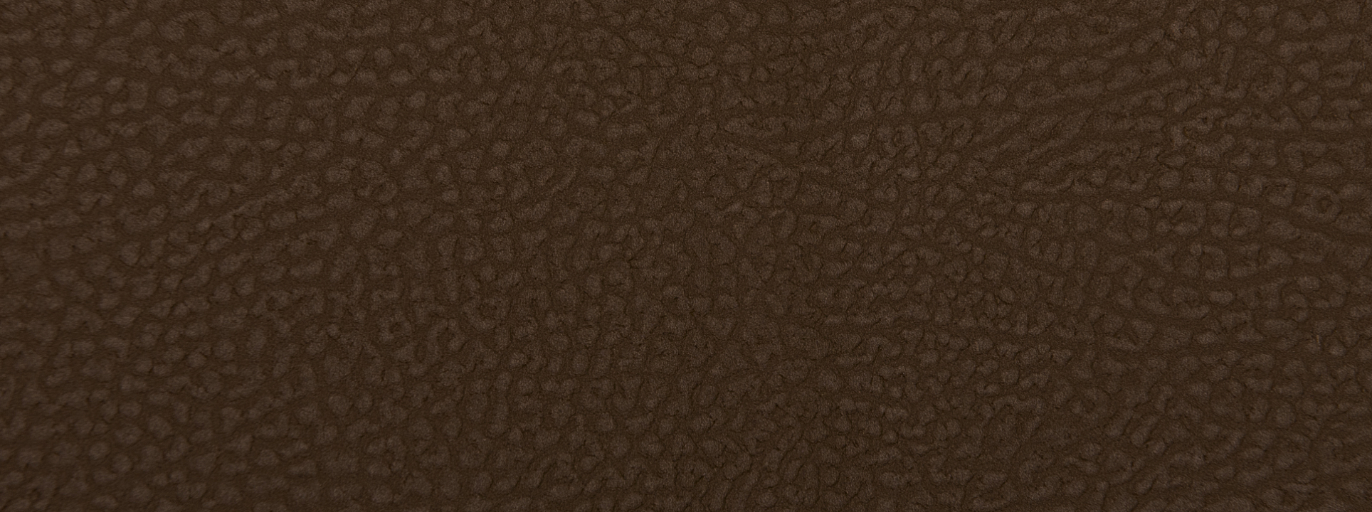 Изображение Rasch African Queen III 752663