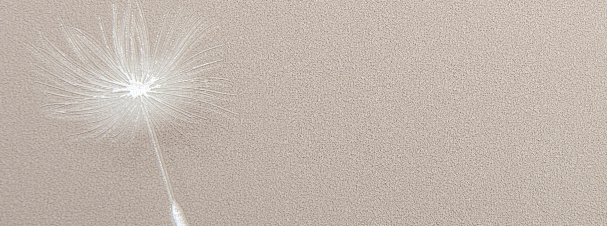 Изображение Andrea Rossi Gavi 54368-3