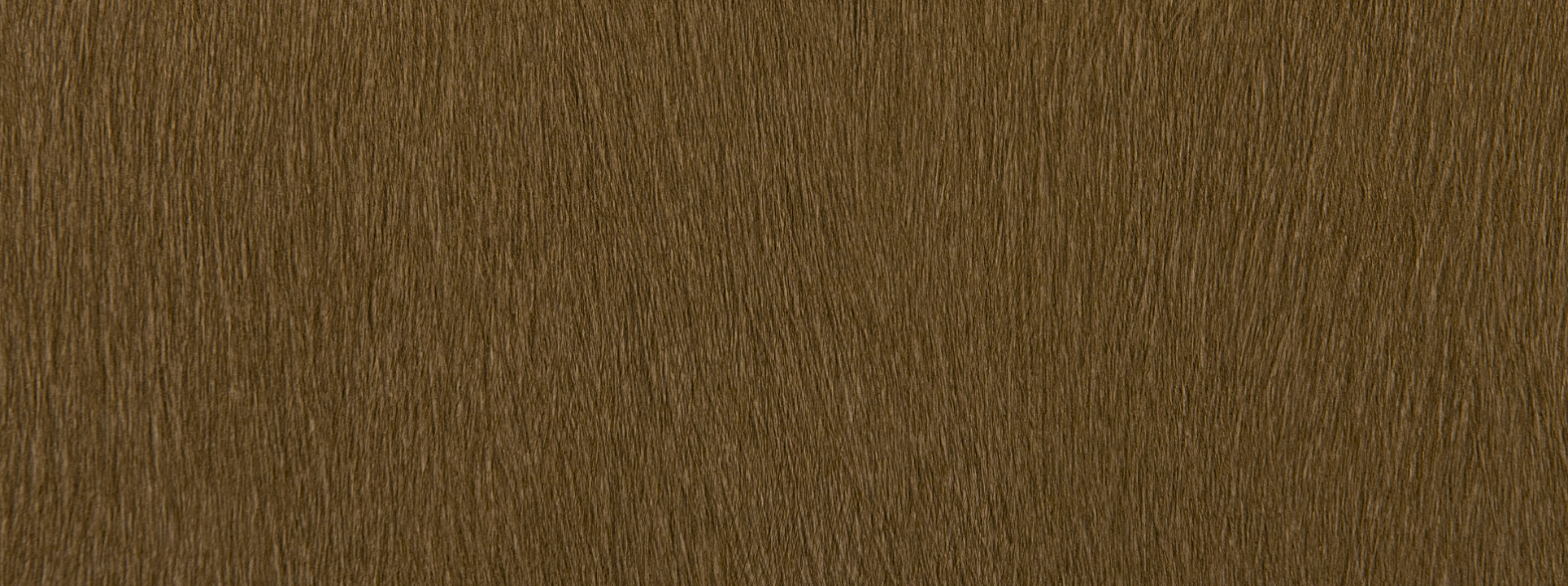 Изображение Rasch African Queen III 751079