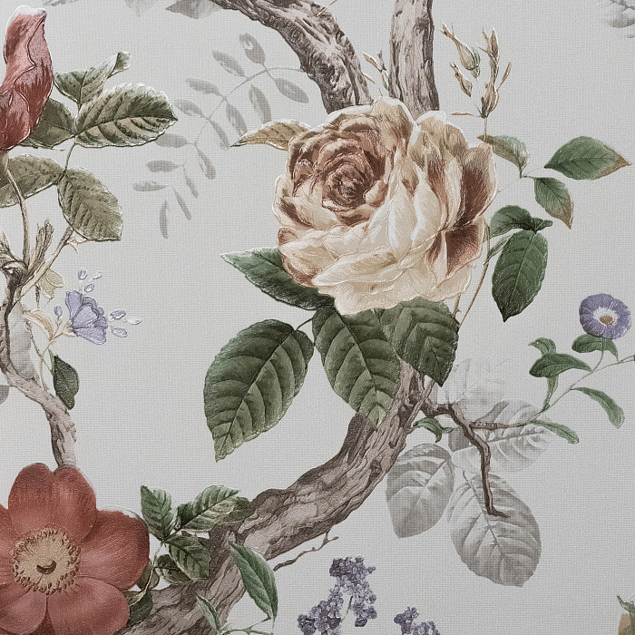 Andrea Rossi Cavoli 54421-1 — картинка №1