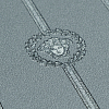 Versace Версаче 6 79173-3 — картинка №5