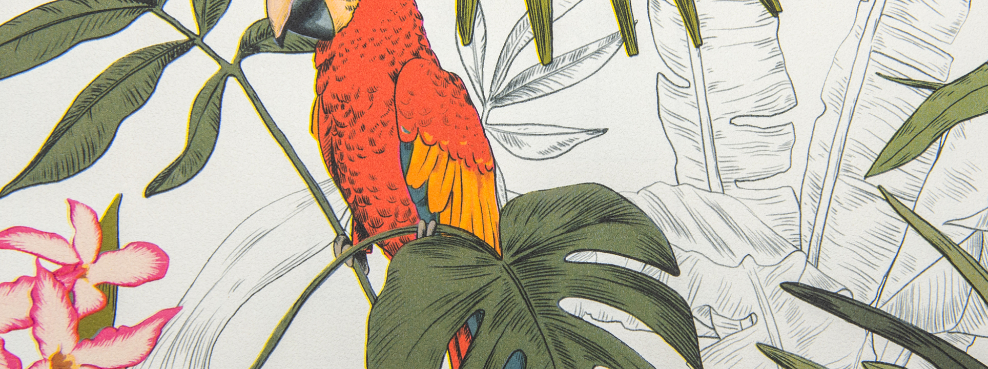 Изображение Rasch Rhapsody 689907