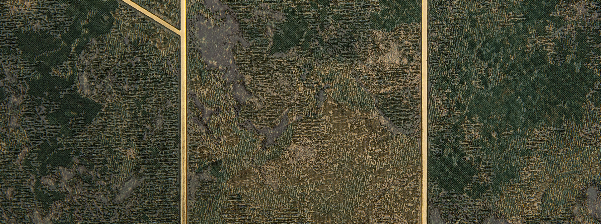 Изображение Bernardo Bartalucci Brigida 84265-6