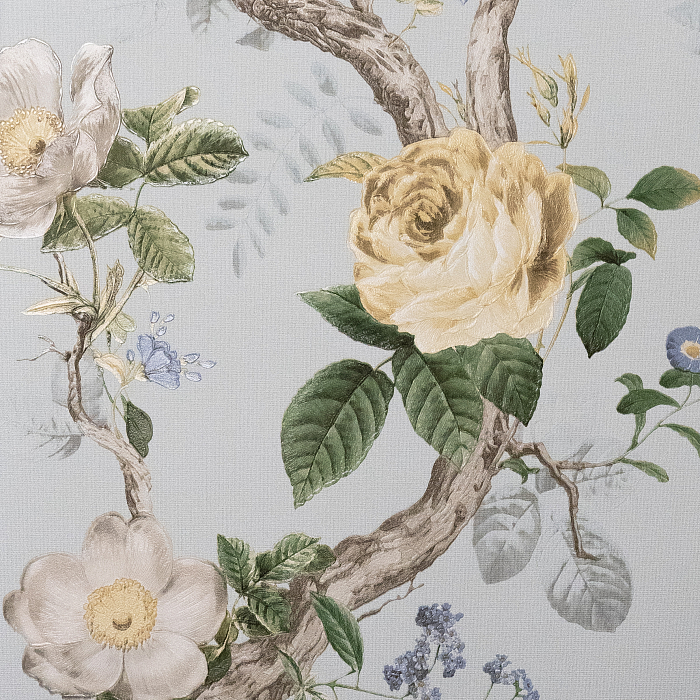 Andrea Rossi Cavoli 54421-5 — картинка №1